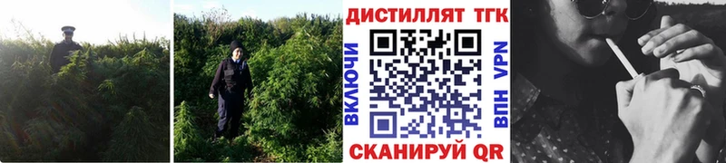 ТГК концентрат  Новоузенск 