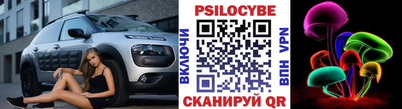 Псилоцибиновые грибы MAGIC MUSHROOMS  купить закладку  OMG ССЫЛКА  Новоузенск 
